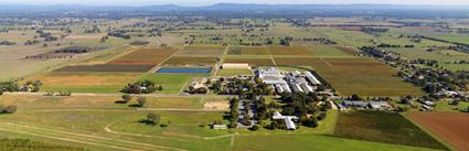 Brown Brothers Winery - VIC (PBH3 00 34011)